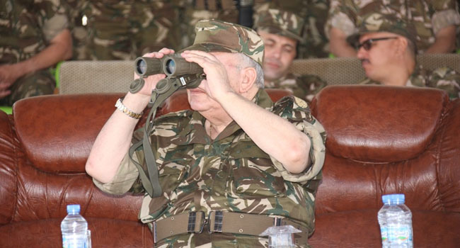 Bilan annuel de l’ANP : 30 tentatives d’introduction de 10 types d’armes déjouées !