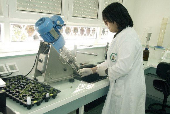 Vers l&rsquo;intégration de l&rsquo;immunothérapie dans les centres anti-cancer en Algérie