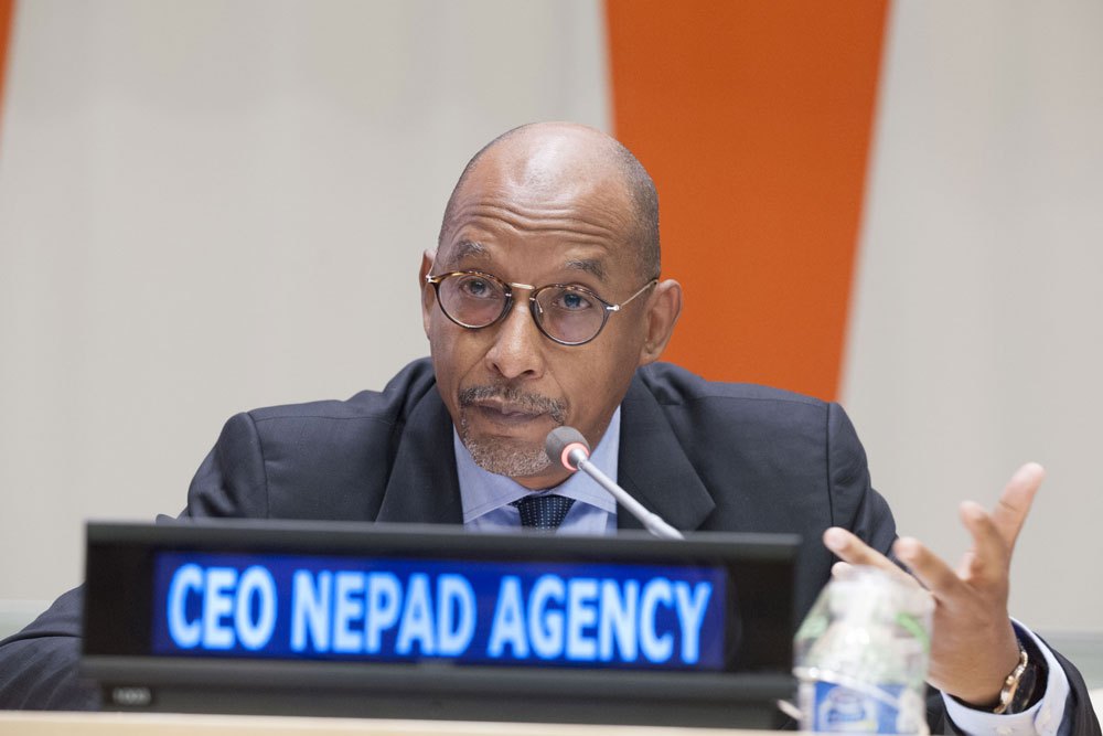 Nepad : Des «avancées notables» dans le développement en 2018