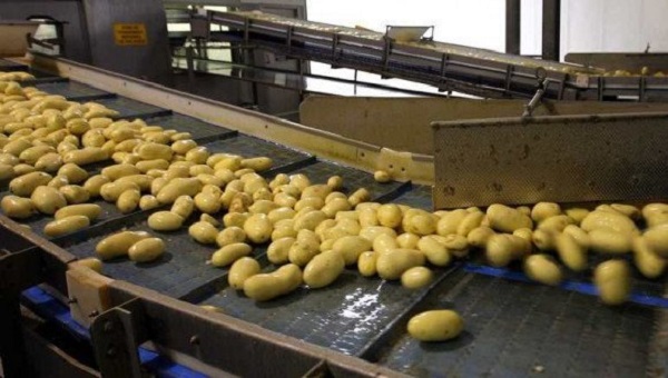 Bouazghi: «L’Algérie triplera ses exportations agricoles d’ici trois ans»