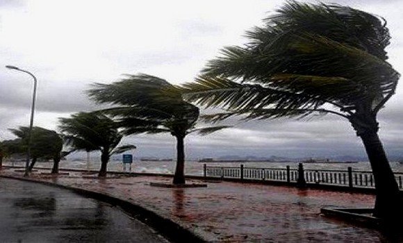 Des vents forts souffleront sur plusieurs wilayas du pays