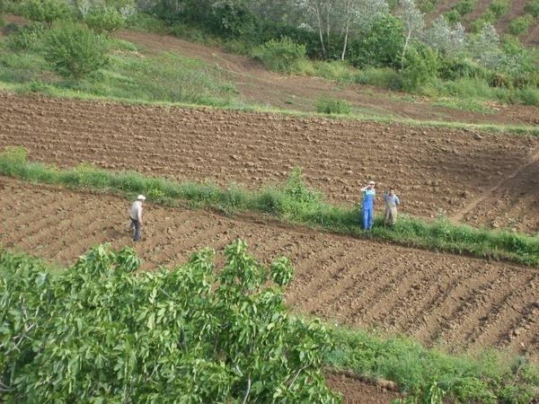 Médéa : bientôt un avis de manifestation d’intérêt pour la concession de 12 000 hectares