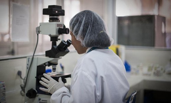 Une stratégie nationale proactive pour juguler la fuite des compétences nationales