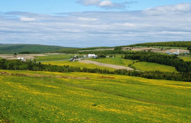 Imposition d&rsquo;une taxe pour bénéficiaires de terrains inexploités depuis plus de 3 ans