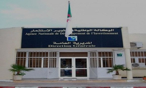 Ouargla : plus de 140 projets d’investissements avalisés par l’ANDI en 2018