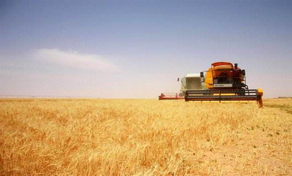 L&rsquo;Algérie a franchi d’importantes étapes pour assurer sa sécurité alimentaire