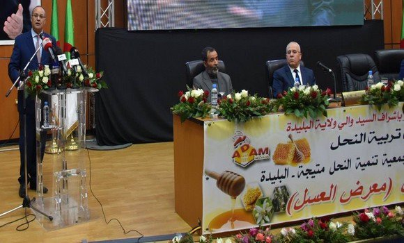 Production mellifère: hausse de 80% durant les 20 dernières années