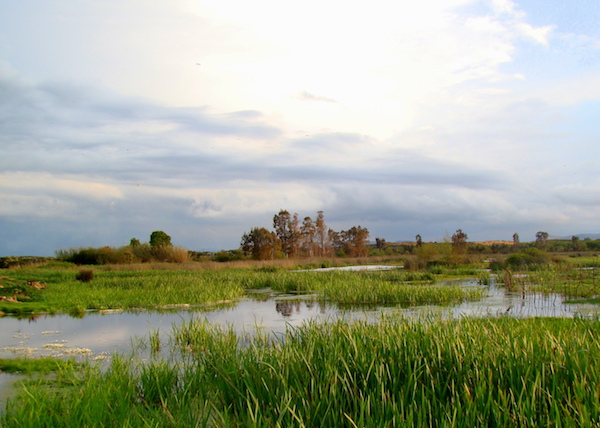 La Fondation Coca-Cola Contribue à la Protection de la zone humide de Guerbes-Sanhadja en Algérie