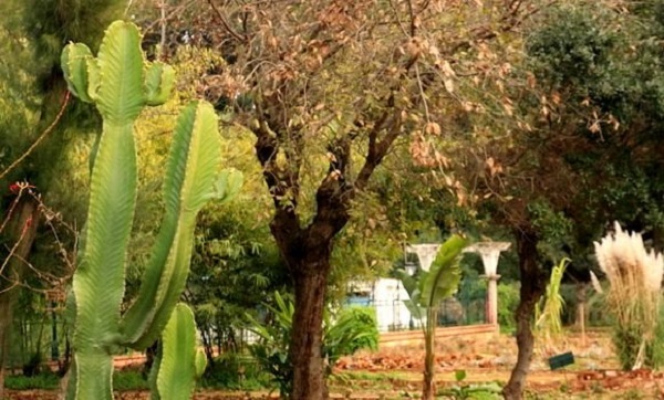 Le Jardin d&rsquo;essai d&rsquo;El Hamma intègre le Réseau GENMEDA