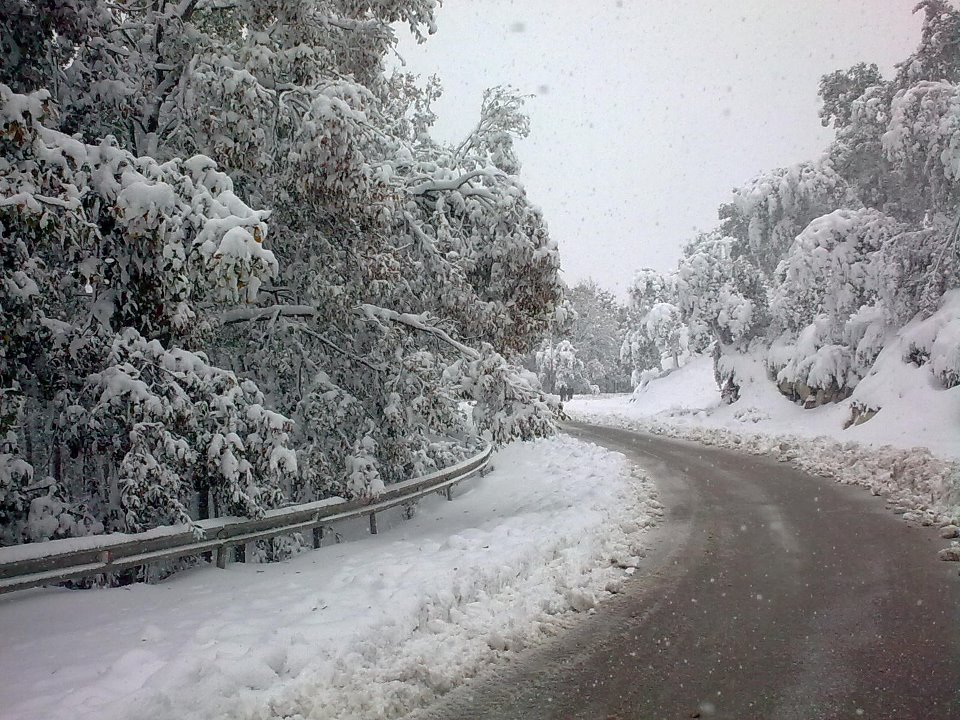 Alerte météo : Retour des chutes de neige à l’est du pays