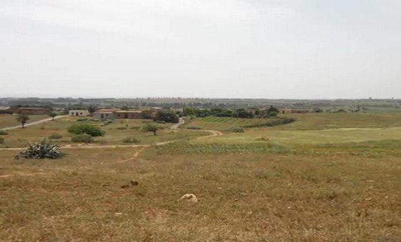Projection en avant première deTadeles .. ville millénaire, fin mars