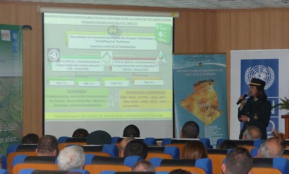 Forêts: la coopération internationale s&rsquo;est grandement développée