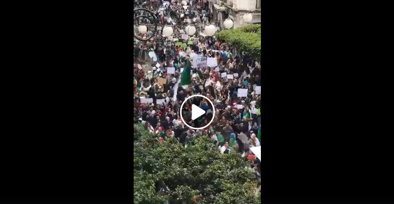 Manifestations anti 5e mandat : La police est quasiment invisible à alger centre ! [vidéo]