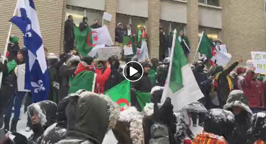 Rassemblement à Montréal contre le cinquième mandat de Bouteflika ! [vidéo]