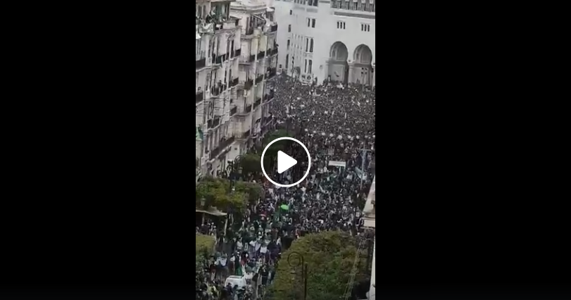 Marée humaine à Alger contre le pouvoir ! [vidéo]