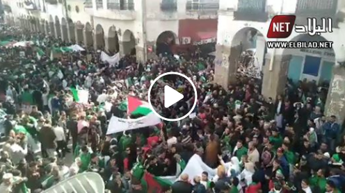 5ème vendredi de protestation : des manifestations contre le pouvoir à Skikda, Ain temouchent et Saïda