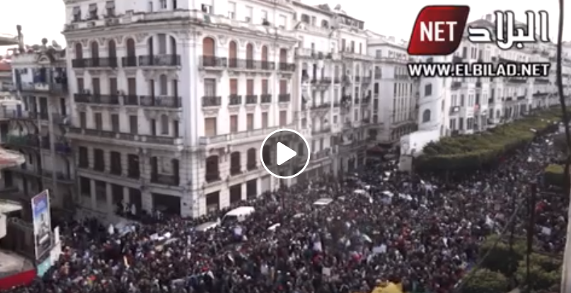 De la place des martyrs à la grande-poste: Alger, noire de monde ! [vidéo]