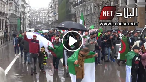Les Algérois manifestent en famille contre le pouvoir ! [vidéos]
