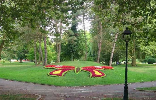 Réhabilitation des espaces verts: La pépinière d’El Hartoun renaît de ses cendres