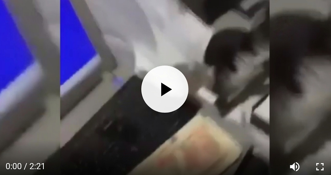 Les nouveaux billets de banque ne sont pas sécurisés ! [Vidéo]