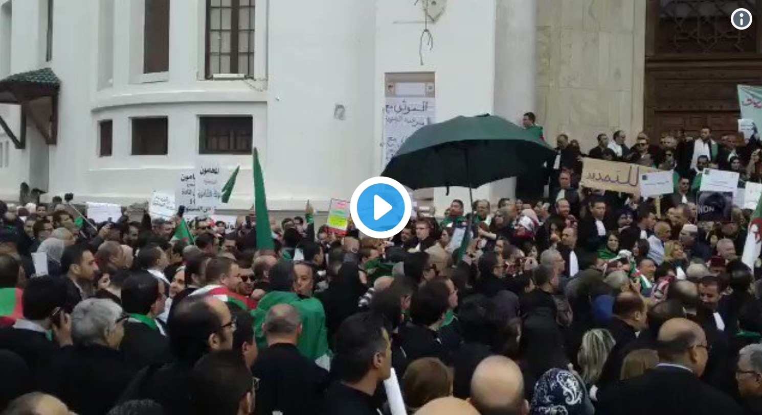 Les avocats manifestent à Alger centre ! [Vidéo]