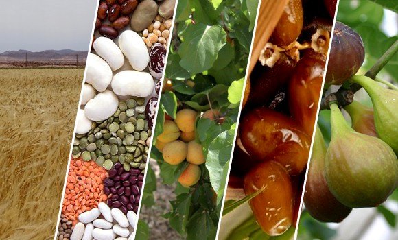 Divergence de la production agricole durant la campagne 2016-2017