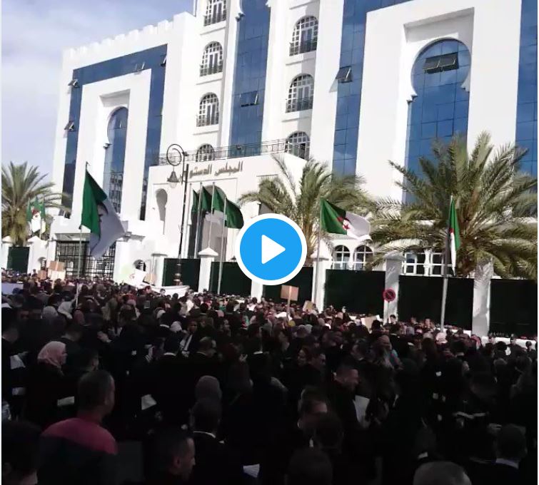 Vidéo : les avocats se rassemblent devant le conseil constitutionnel