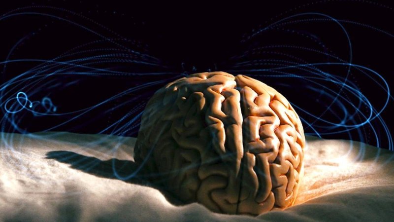 Enquête-Témoignages: Quand notre mémoire nous joue des tours