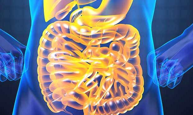 3 conseils pour améliorer sa santé digestive