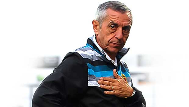 Alain Giresse (sélectionneur de la Tunisie) : «Je ferai tourner l’effectif»