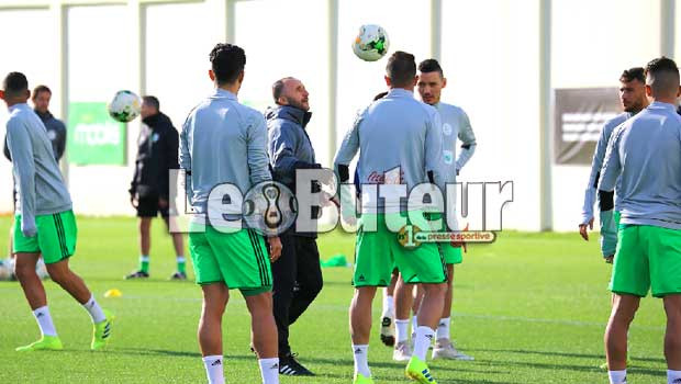 Belmadi : «J’essaye toujours d’inculquer aux joueurs la culture de la gagne»