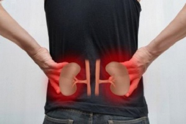 Une caravane nationale de sensibilisation aux maladies rénales chroniques