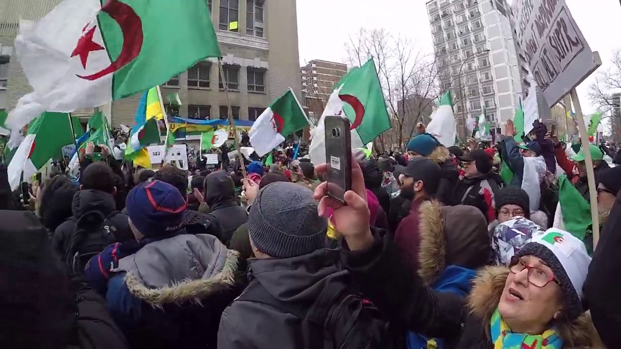 Manifestations contre le prolongement du mandat de Bouteflika : La protesta ne faiblit pas à Montréal
