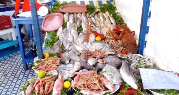 Alger : Plus de 4 220 tonnes de produits halieutiques en 2018