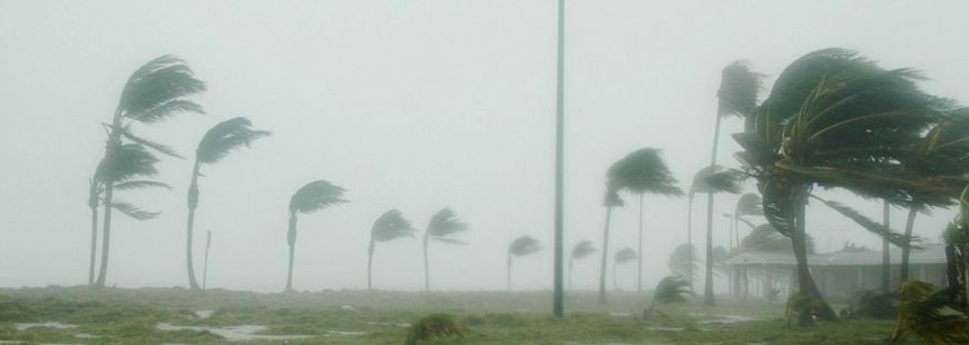 Tébessa: des  dégâts matériels causés par la violence des vents