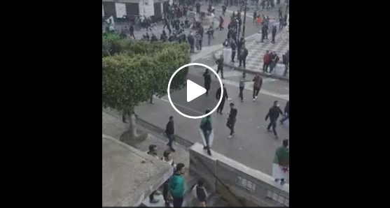 Alger: Les policiers ont violemment chargé les manifestants ! [vidéo]