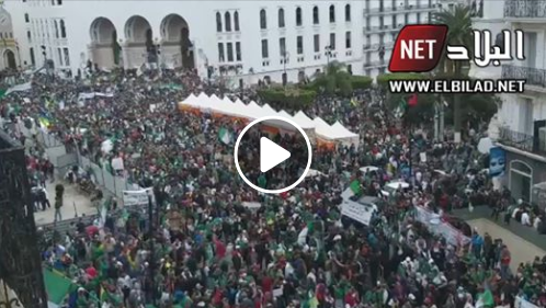 9e vendredi de contestation: Alger la hôte d’un tsunami humain [vidéo]
