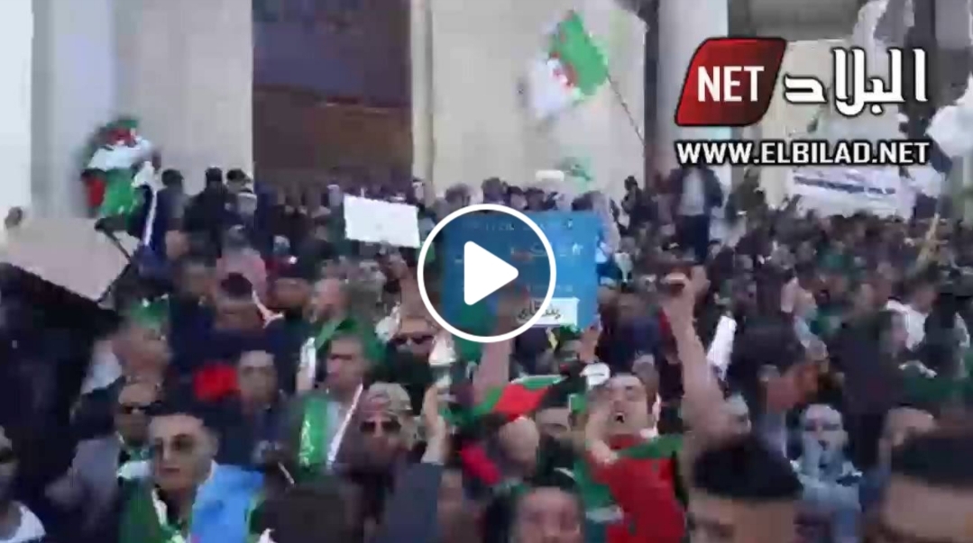 Alger centre: début de la manifestation contre le système [vidéo]