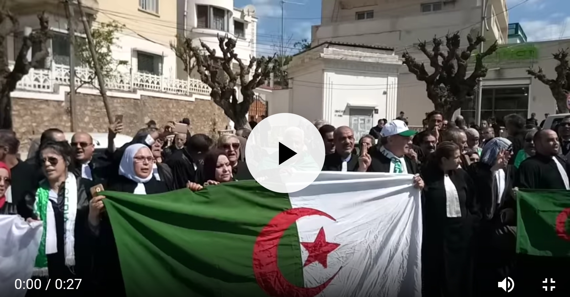 Rassemblement des avocats contre le système à Alger [vidéo]