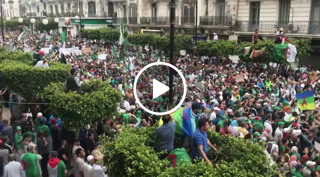 À Alger, des milliers de manifestants scandent « le 04 juillet, il y’a une marche »[vidéo]