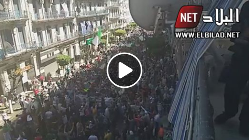 La rue hassiba à Alger est noire de monde ! [vidéo]