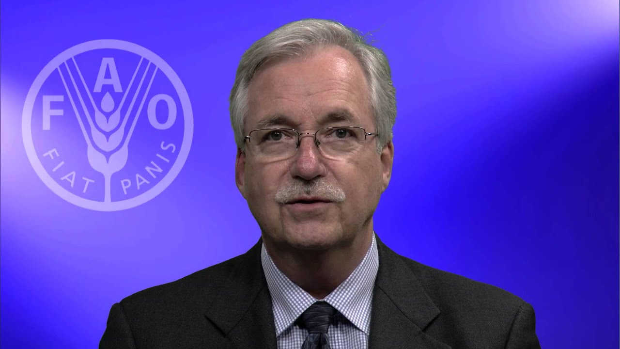 Développement durable: attirer davantage de financements privés et d’investissements