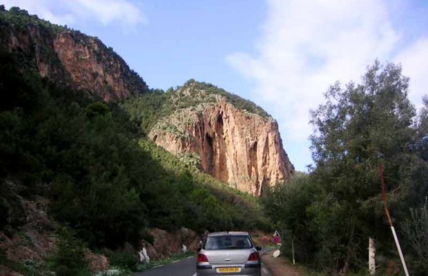 Tipaza : Que se passe-t-il sur le mont Chenoua ?