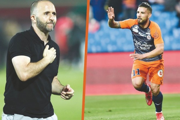 Belmadi : “Delort, un joueur intéressant”