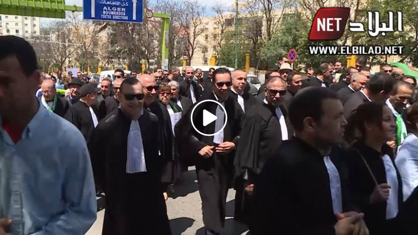 Les avocats ont manifesté aujourd’hui à Tizi Ouzou [vidéo]