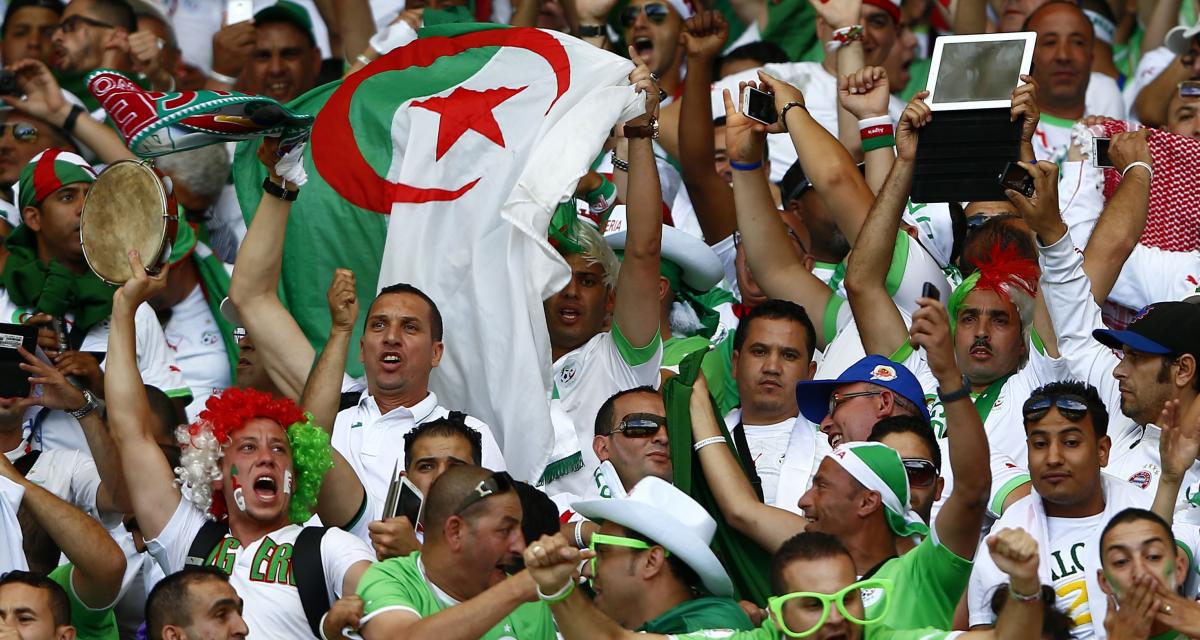 Deux autres supporters algériens seront expulsés d’Égypte !