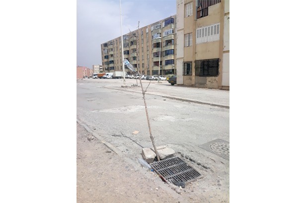 Arrêt sur image : Vu à Sétif