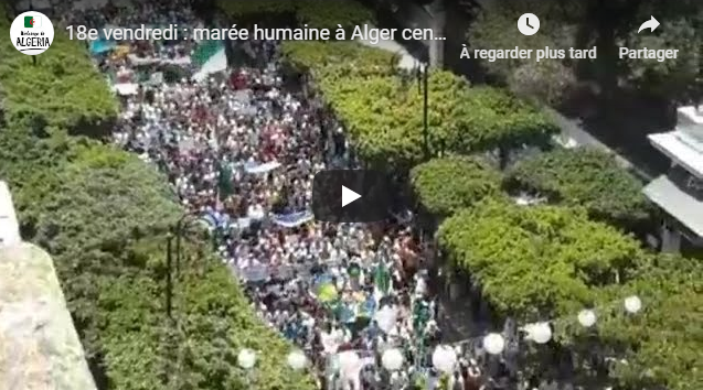 Une marée humaine à Alger centre pour le départ des symboles du système !