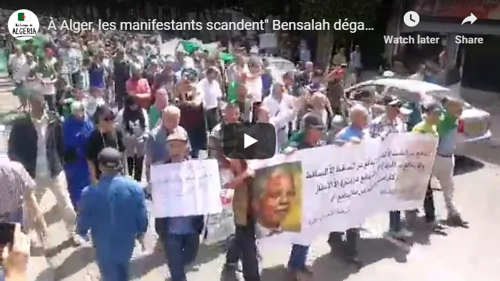 À Alger, les manifestants scandent » Bensalah dégage, Gaïd Salah dégage »