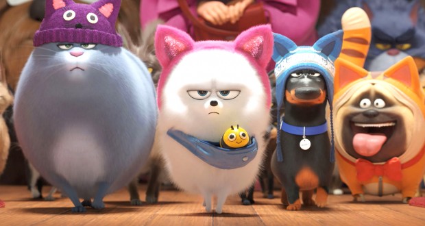 Box-office US : «Comme des bêtes 2» deux fois moins fort qu’en 2016